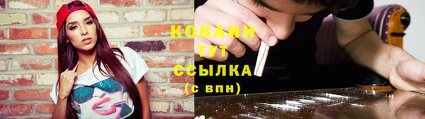 хмурый Абаза