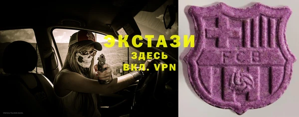 хмурый Абаза