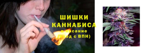 хмурый Абаза